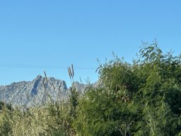 230-11-01-2026 IMG_3423